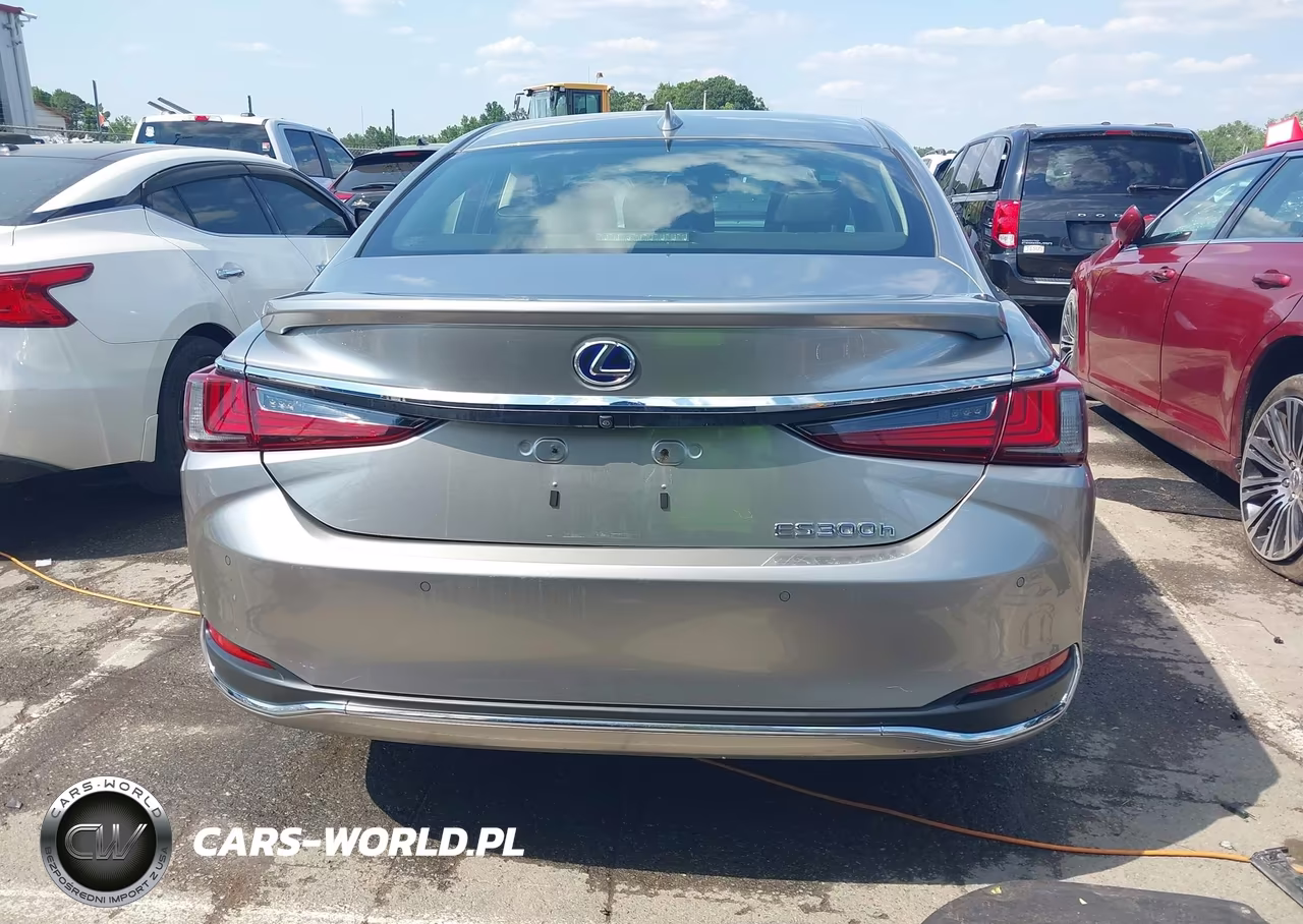 2019 Lexus Es 300H Luxury VIN:JTHB21B19K2000910 - 17