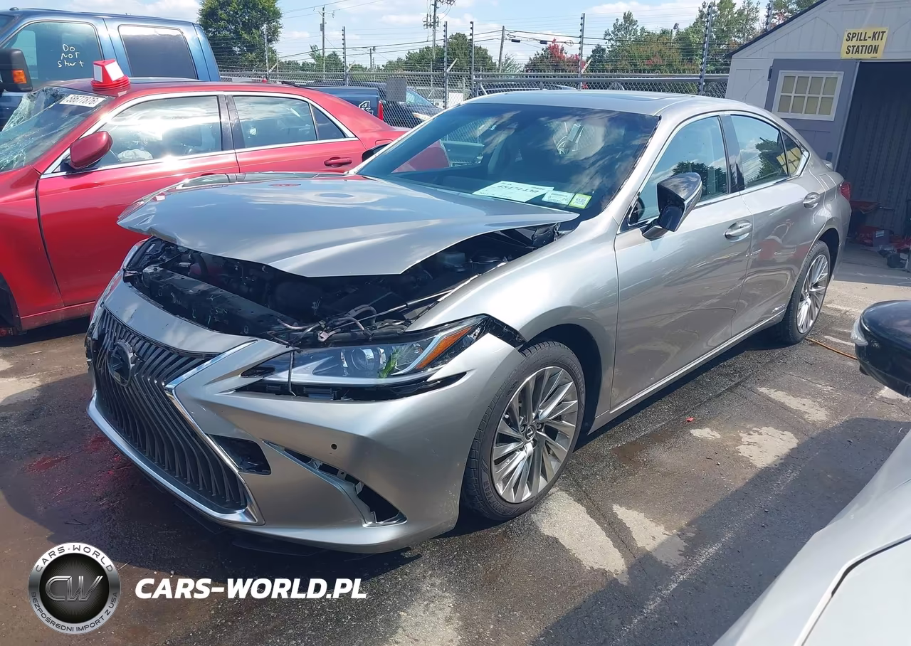2019 Lexus Es 300H Luxury VIN:JTHB21B19K2000910 - 2