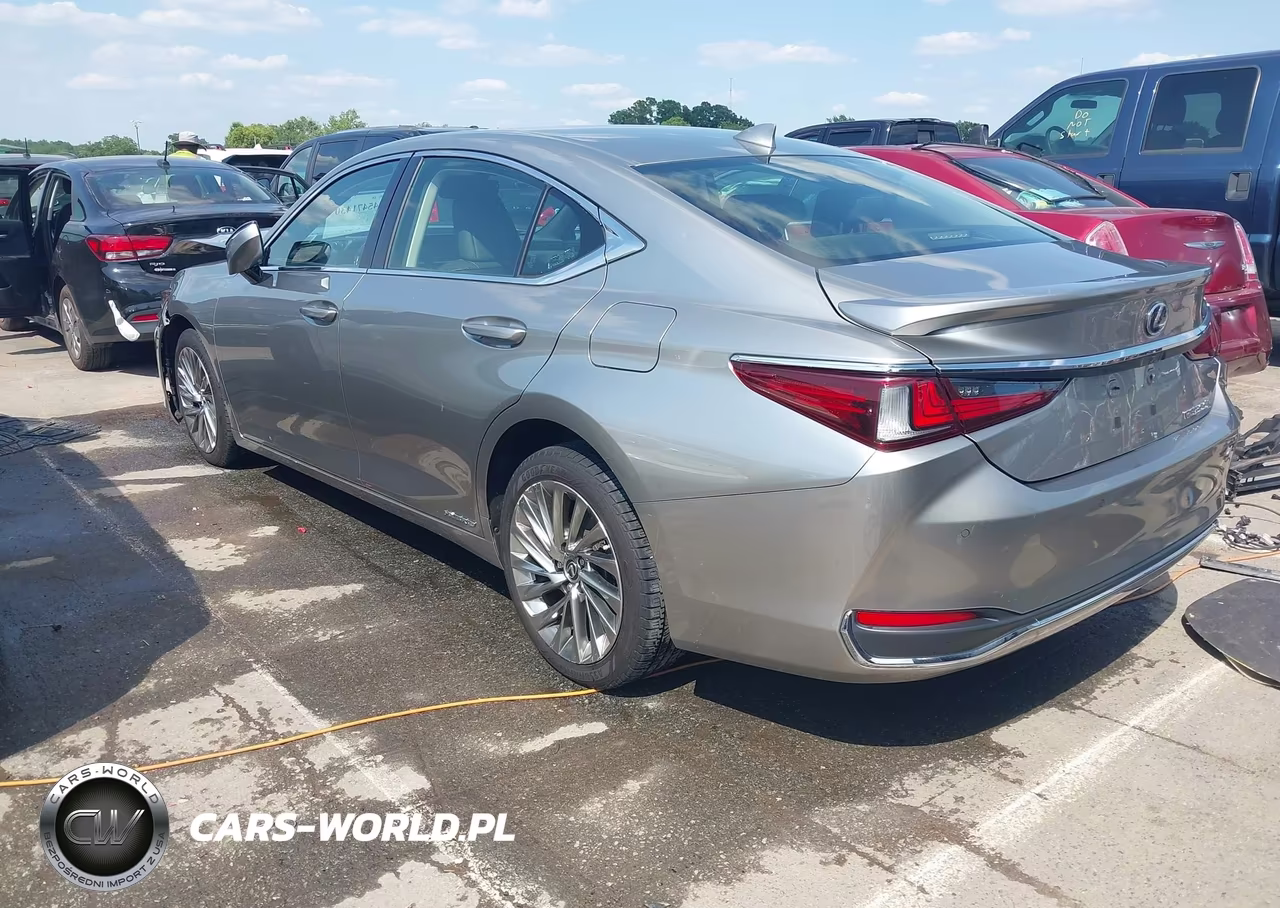2019 Lexus Es 300H Luxury VIN:JTHB21B19K2000910 - 3