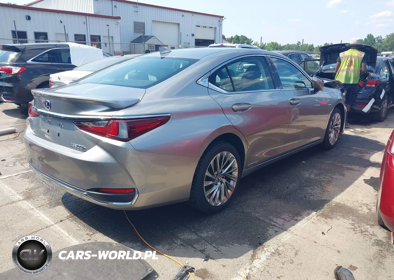 2019 Lexus Es 300H Luxury VIN:JTHB21B19K2000910 - 4