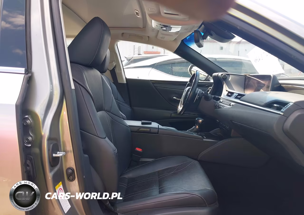 2019 Lexus Es 300H Luxury VIN:JTHB21B19K2000910 - 5