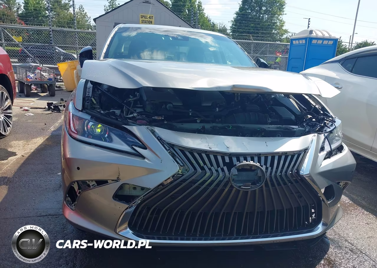 2019 Lexus Es 300H Luxury VIN:JTHB21B19K2000910 - 6