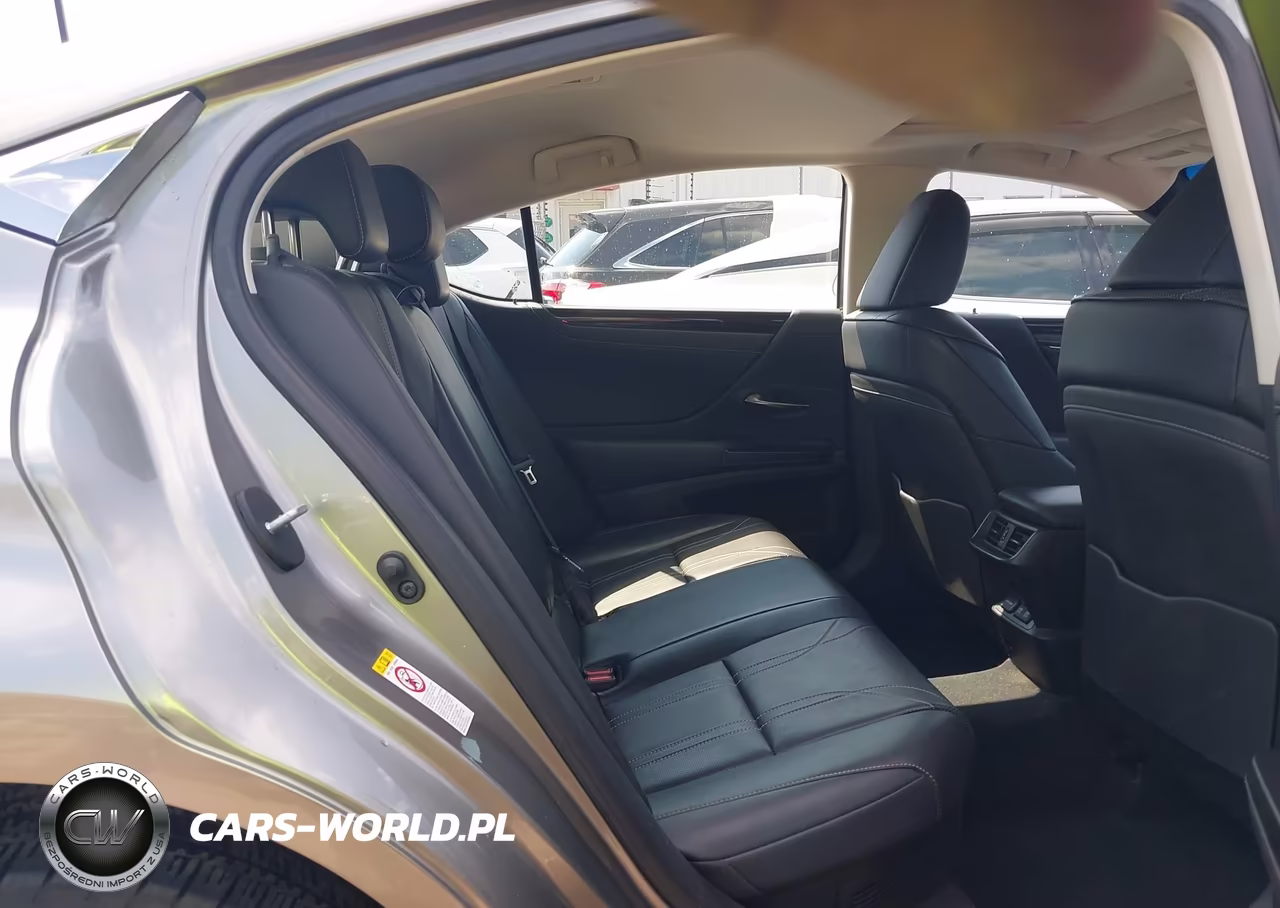 2019 Lexus Es 300H Luxury VIN:JTHB21B19K2000910 - 8