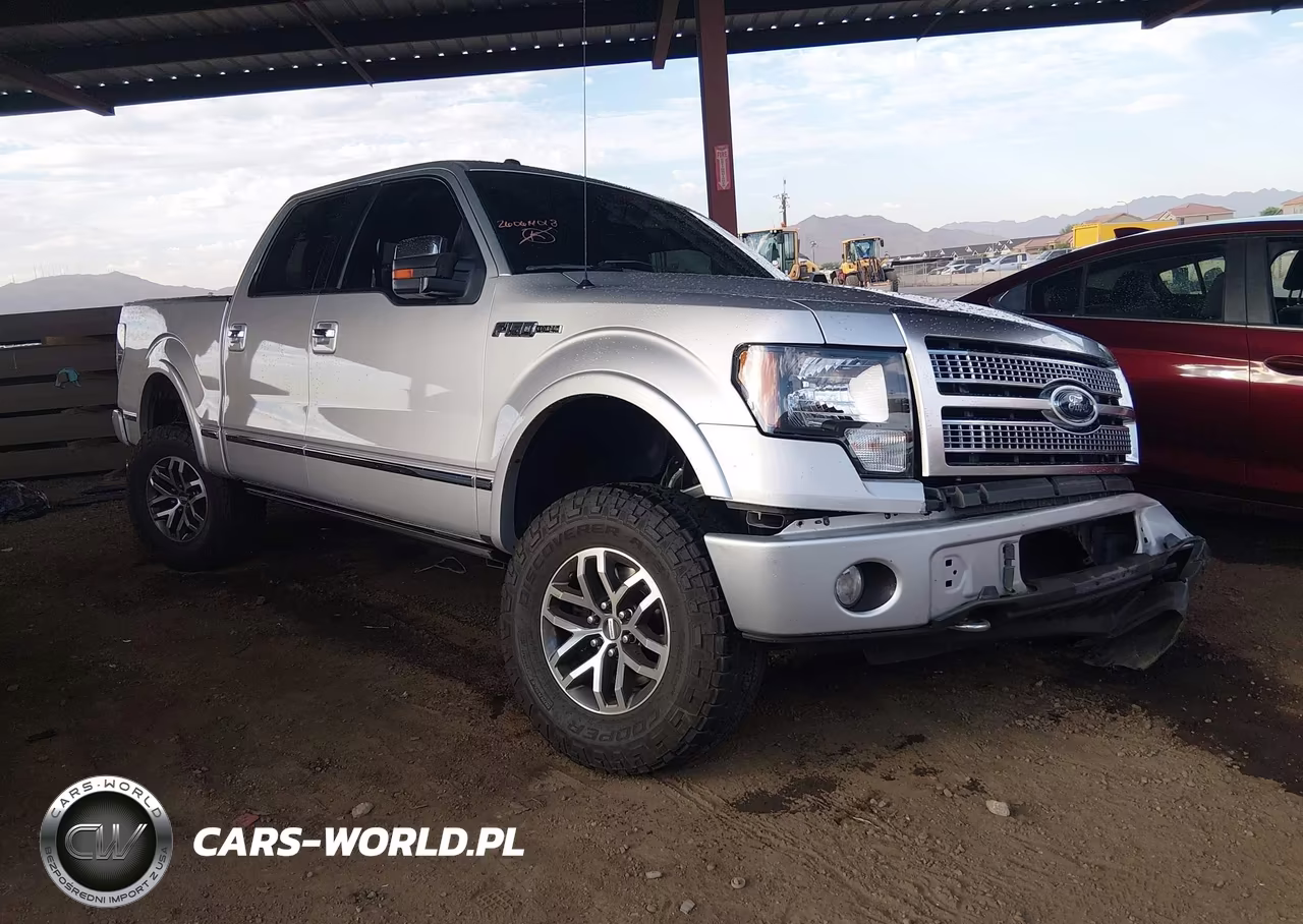 2010 Ford F-150 – zdjęcie 1 z 16
