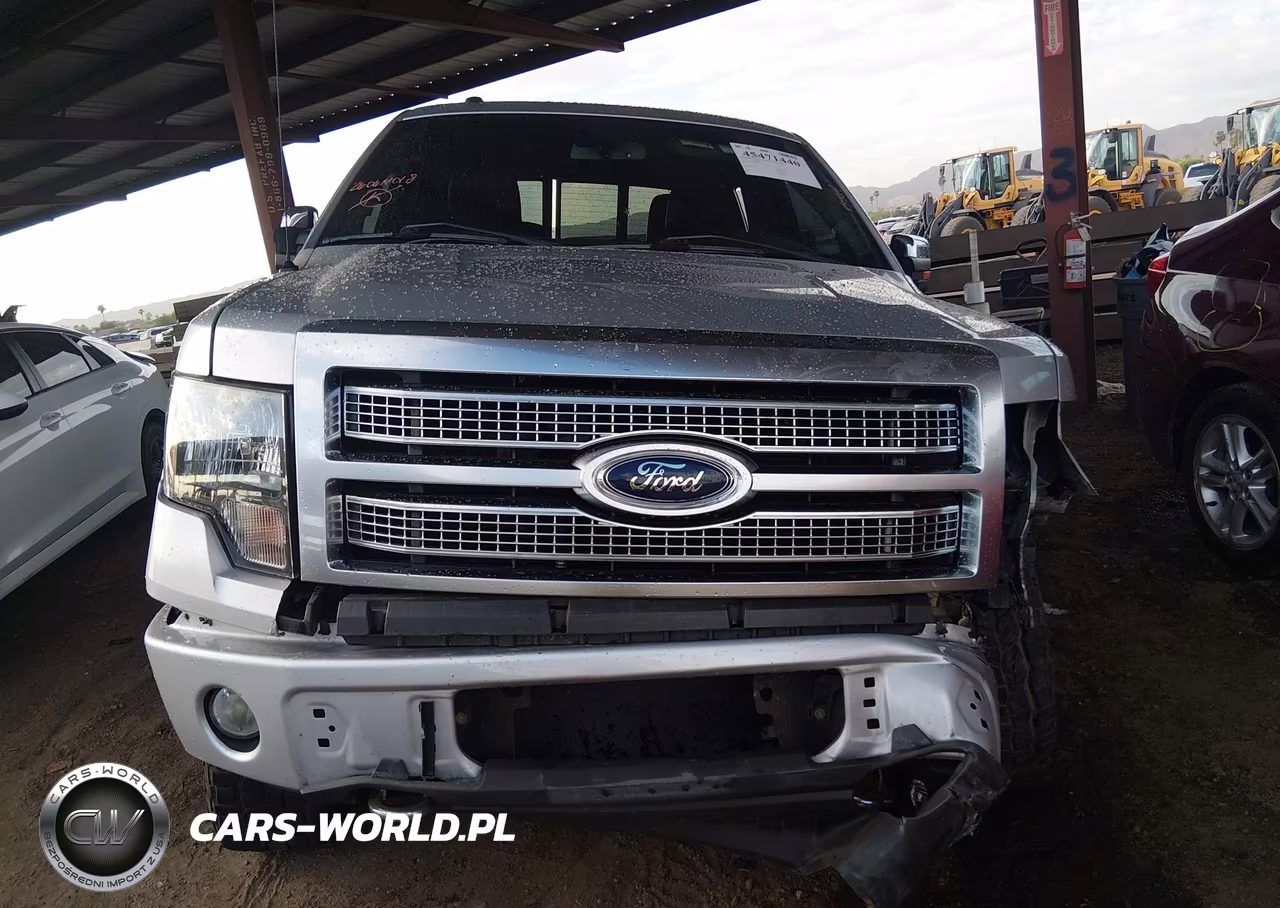 2010 Ford F-150 VIN:1FTFW1EV8AFD70582 - 12