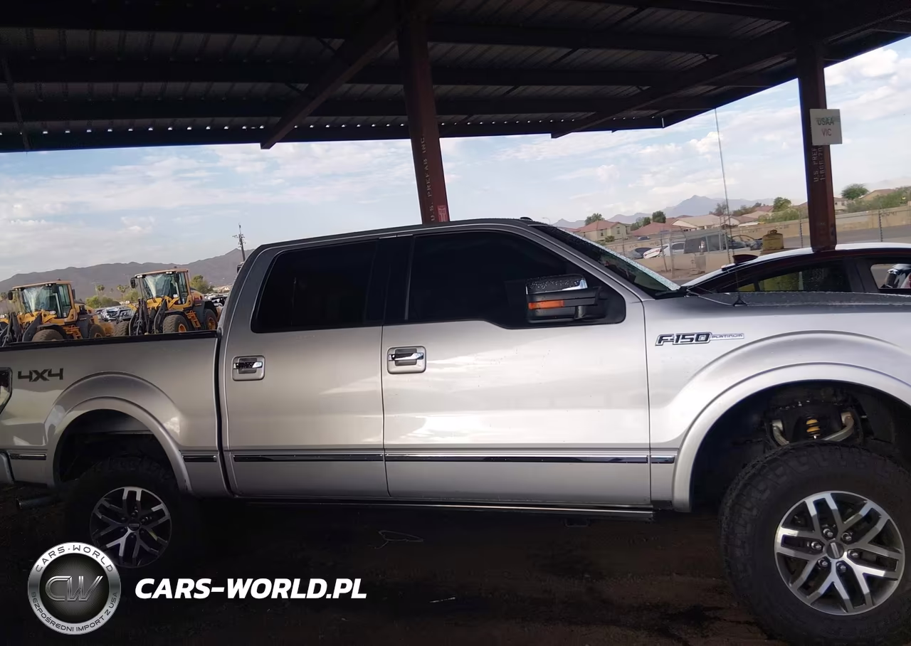 2010 Ford F-150 VIN:1FTFW1EV8AFD70582 - 13