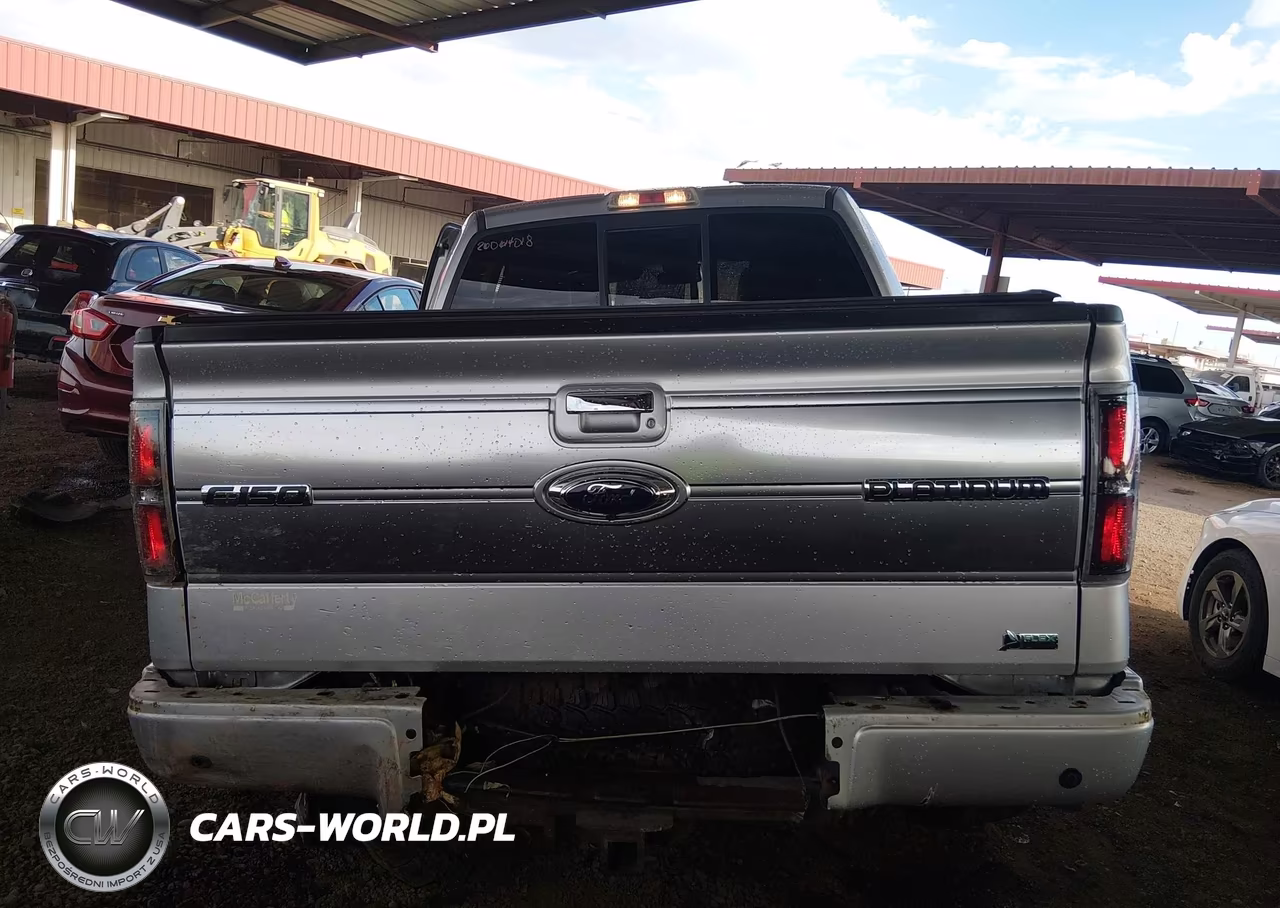 2010 Ford F-150 VIN:1FTFW1EV8AFD70582 - 16