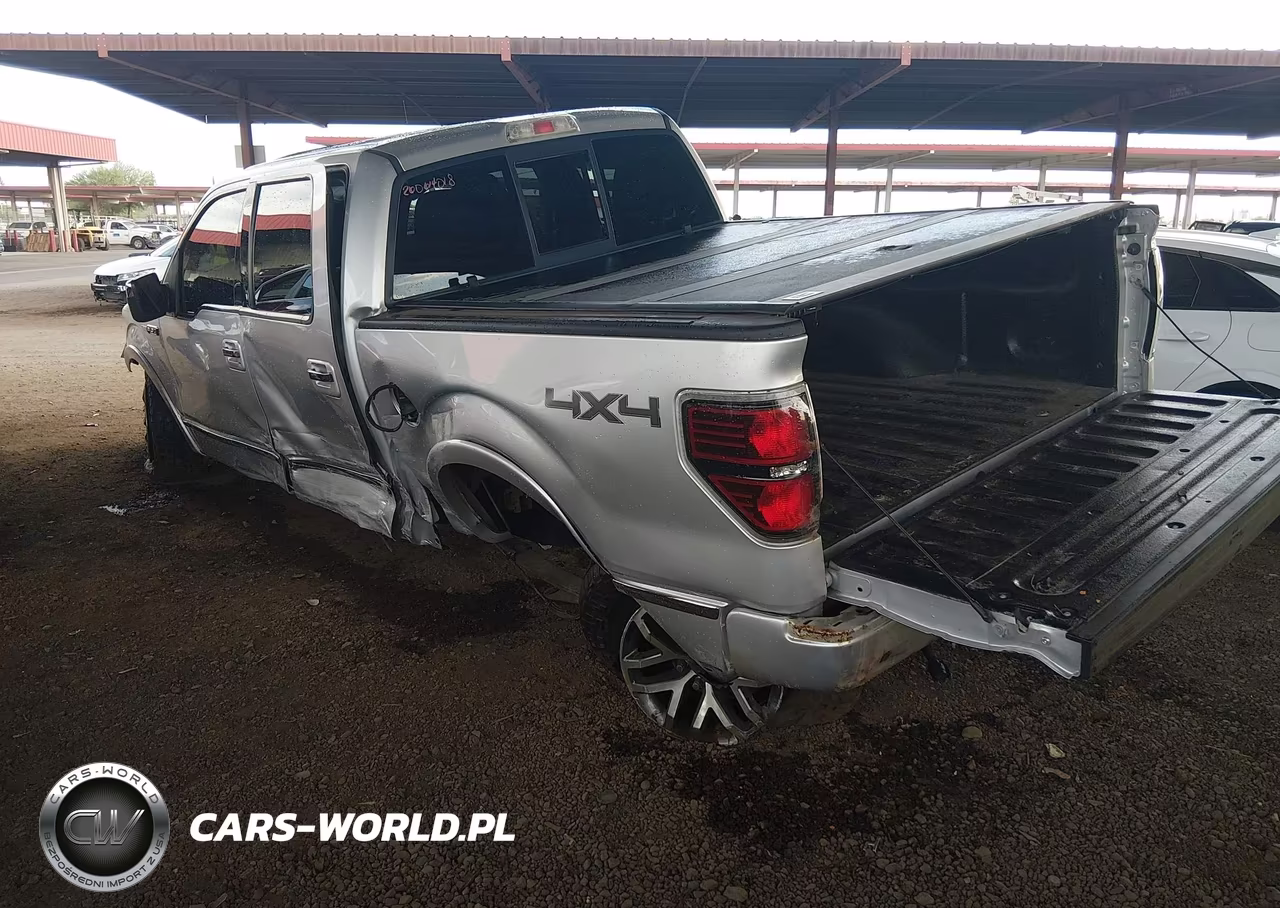 2010 Ford F-150 VIN:1FTFW1EV8AFD70582 - 3