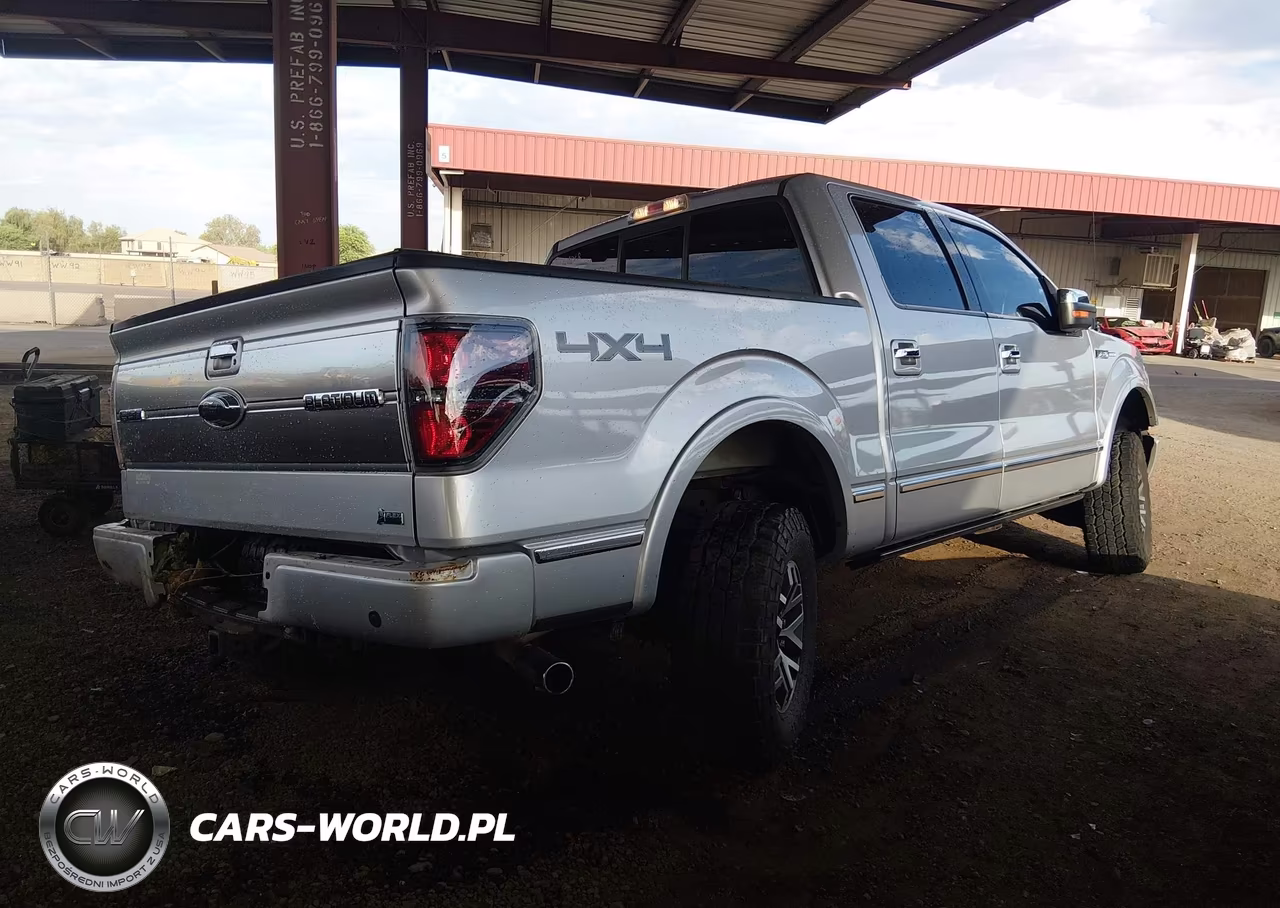 2010 Ford F-150 VIN:1FTFW1EV8AFD70582 - 4