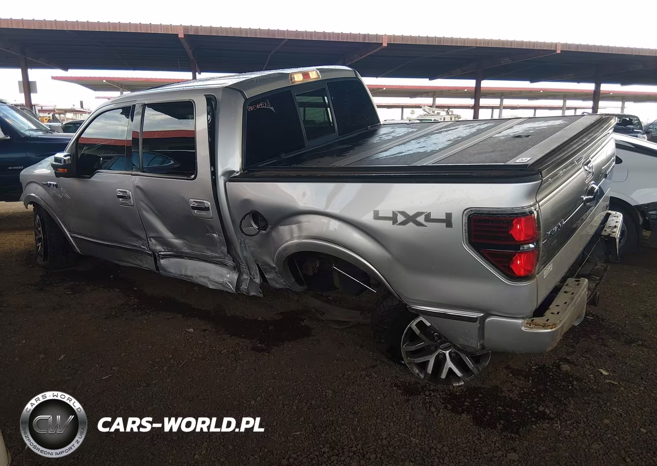 2010 Ford F-150 VIN:1FTFW1EV8AFD70582 - 6