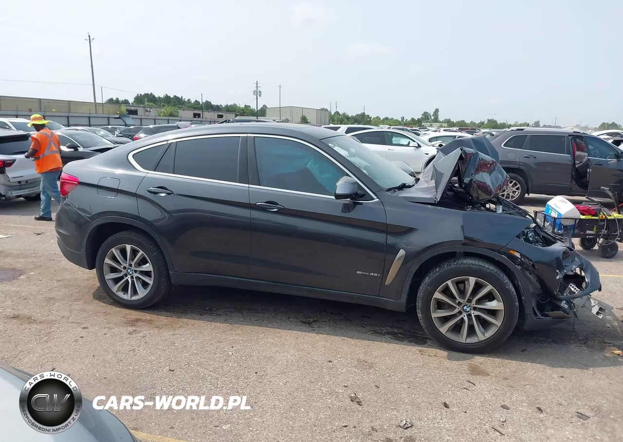 2017 BMW X6 Sdrive35I VIN:5UXKU0C36H0G68904 - 13