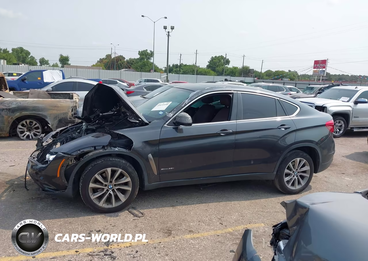 2017 BMW X6 Sdrive35I VIN:5UXKU0C36H0G68904 - 14