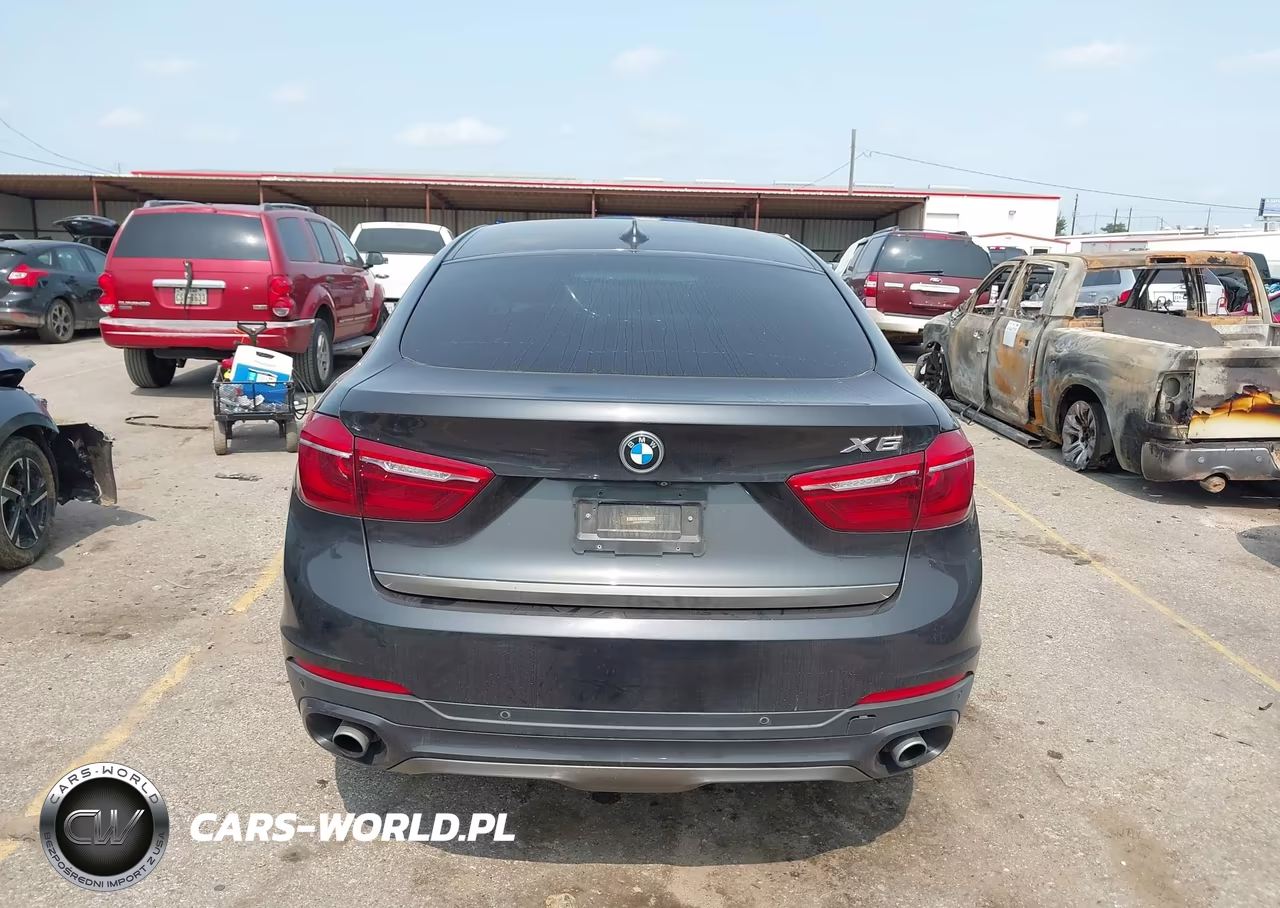 2017 BMW X6 Sdrive35I VIN:5UXKU0C36H0G68904 - 16