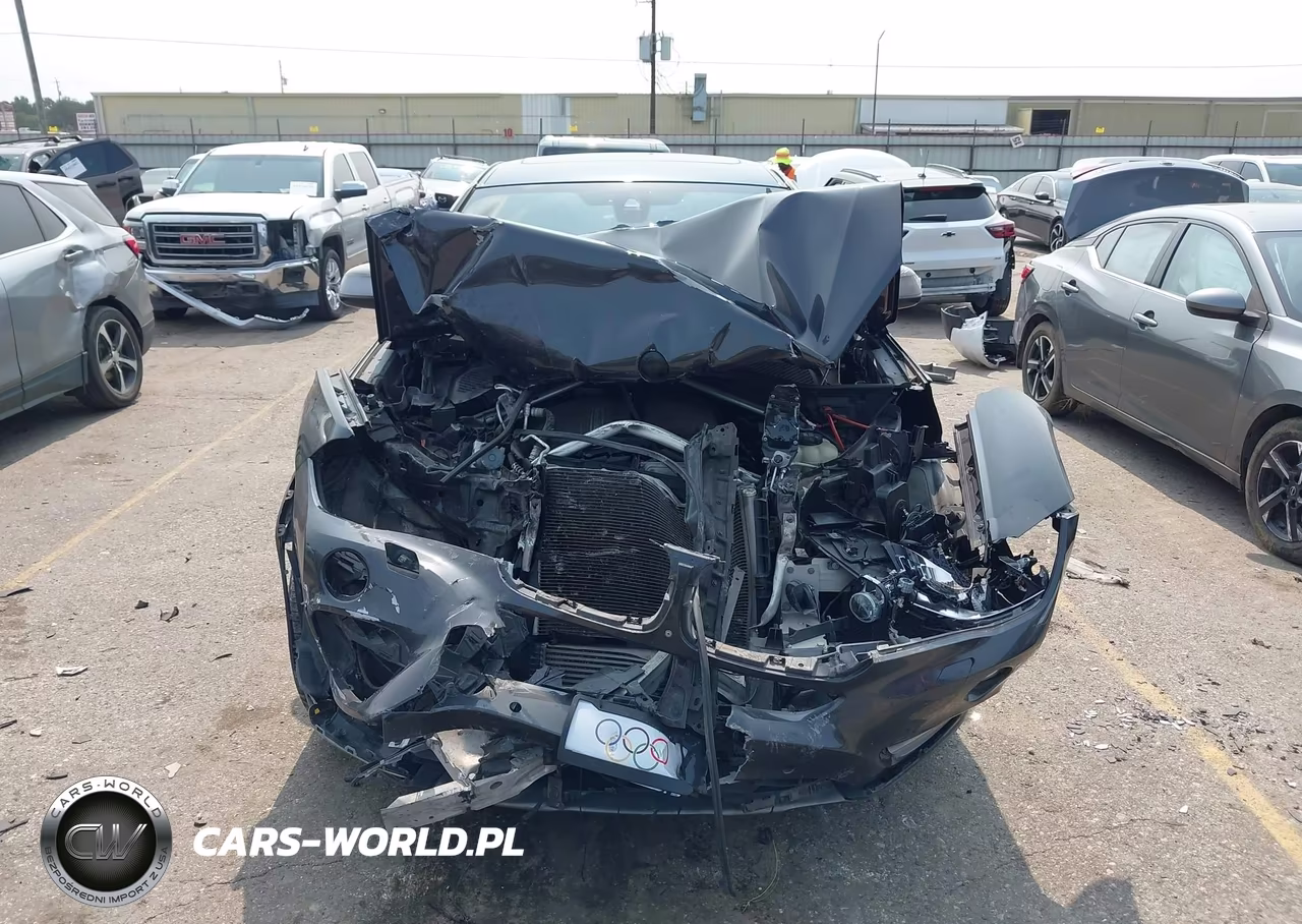 2017 BMW X6 Sdrive35I VIN:5UXKU0C36H0G68904 - 6