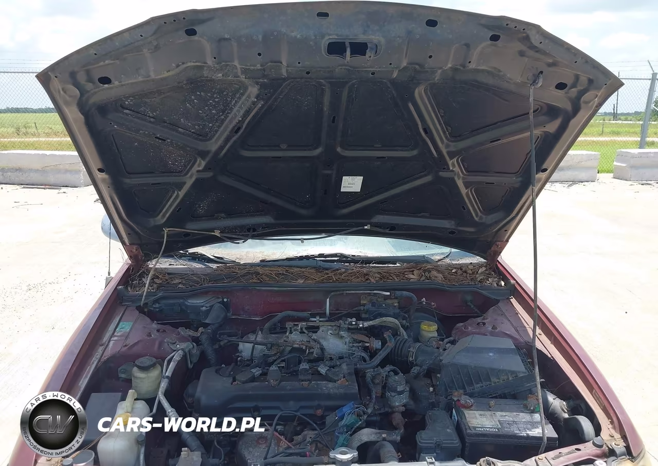 2002 Nissan Sentra VIN:3N1CB51D32L667224 - 10