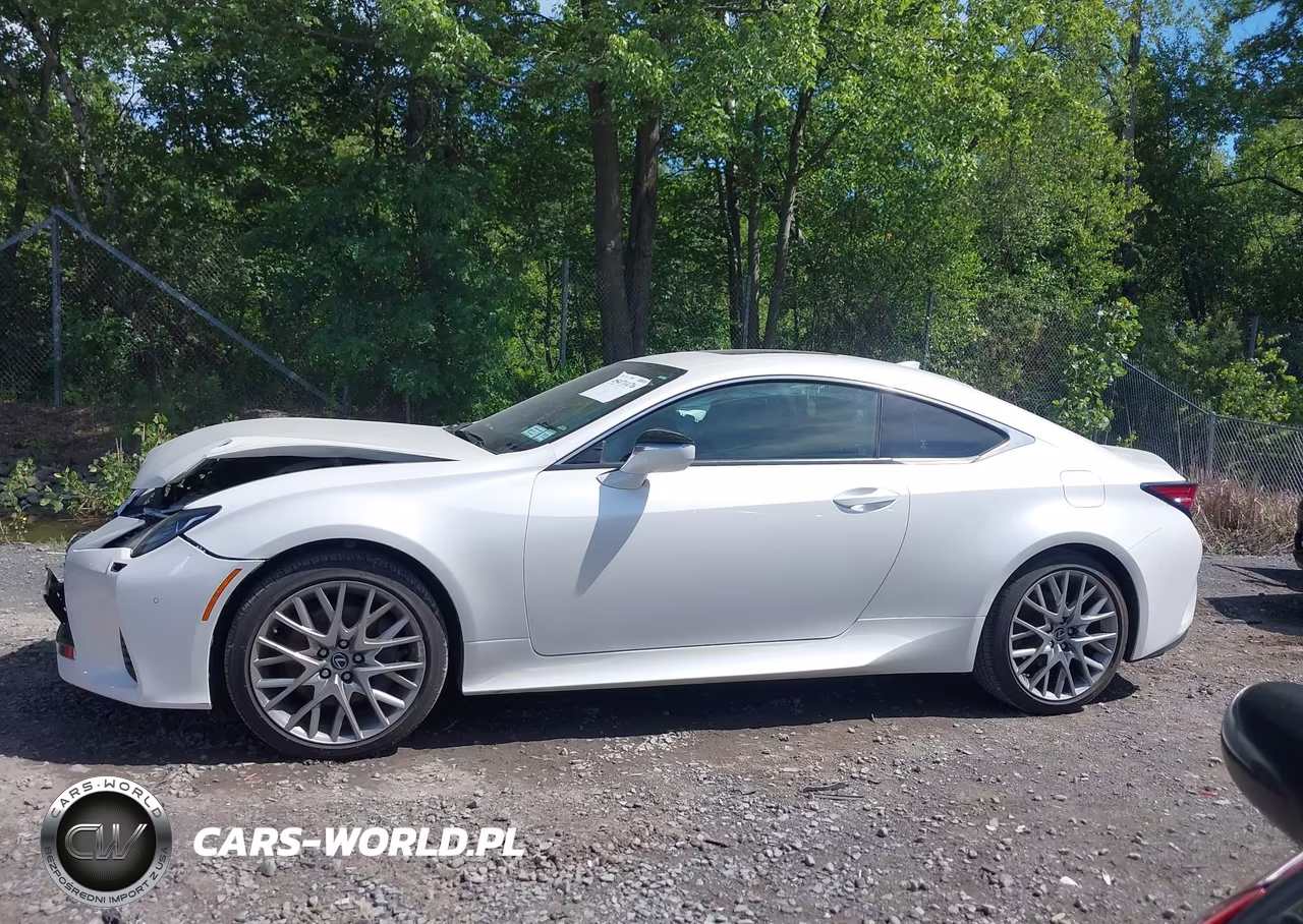 2019 Lexus Rc 300 VIN:JTHS85BC1K5004911 - 14