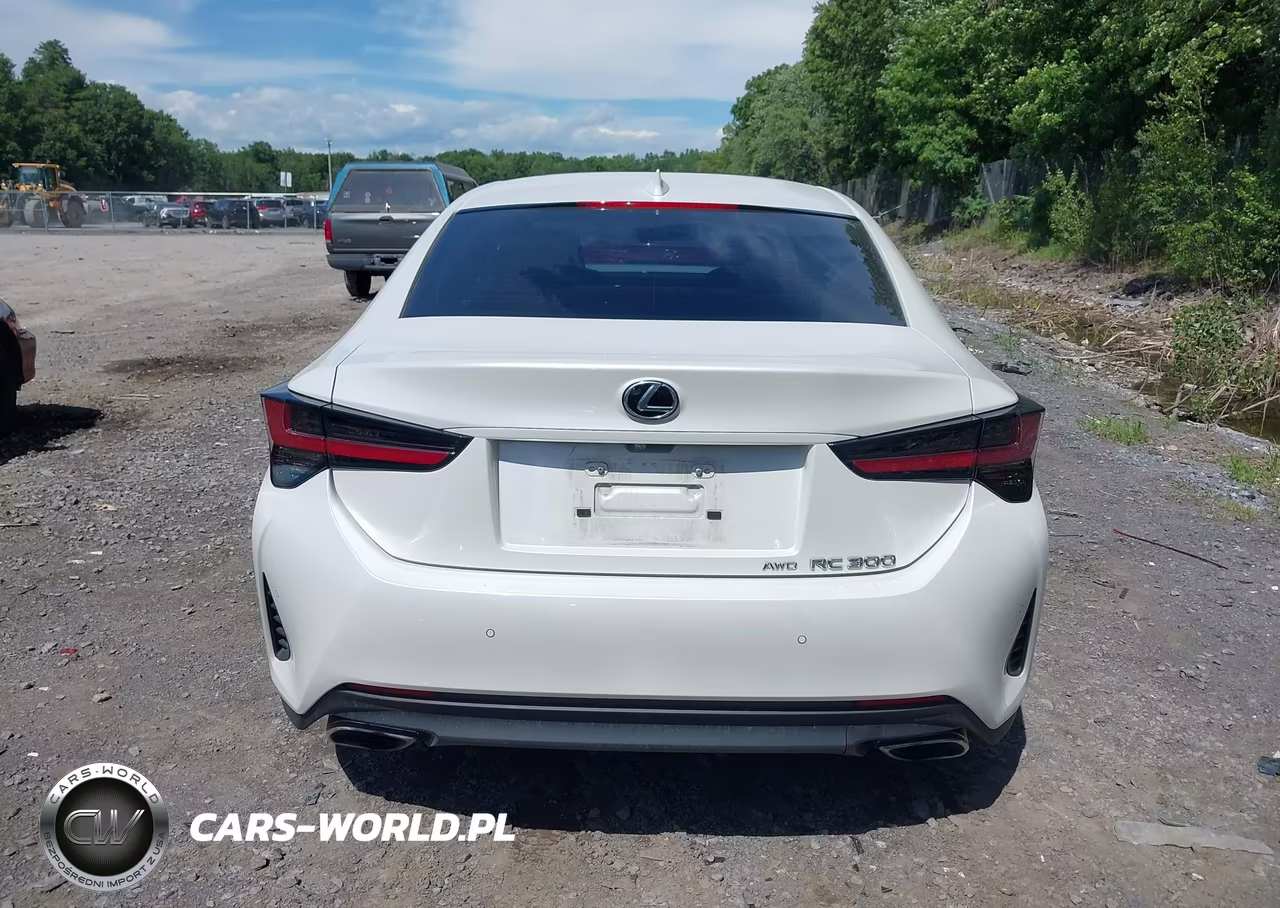 2019 Lexus Rc 300 VIN:JTHS85BC1K5004911 - 16