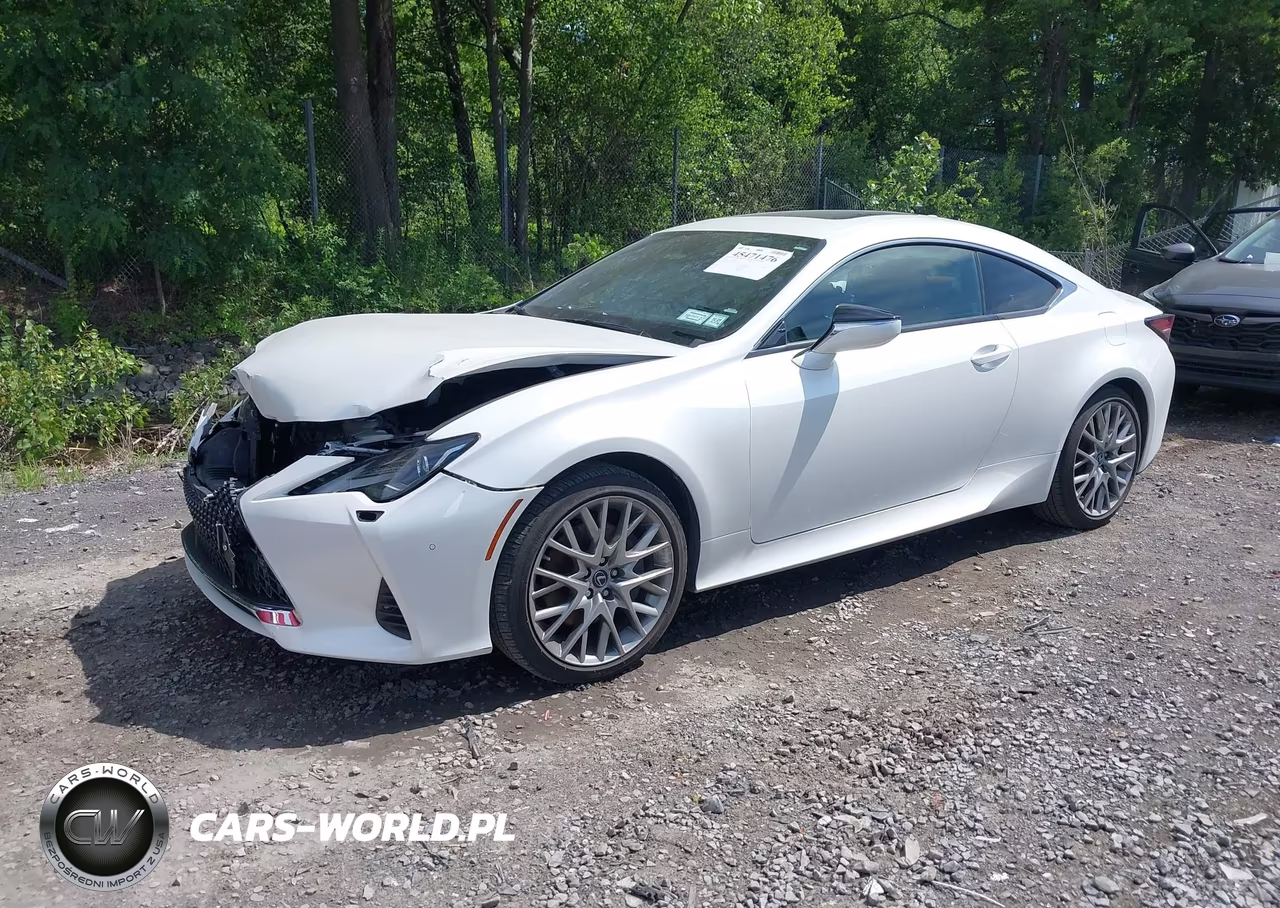 2019 Lexus Rc 300 VIN:JTHS85BC1K5004911 - 2