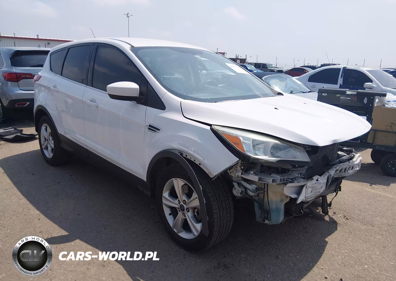 2014 Ford Escape Se