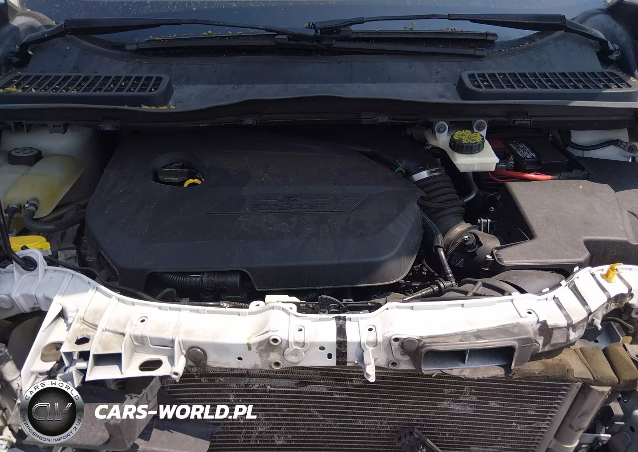 2014 Ford Escape Se VIN:1FMCU9GX5EUD87410 - 10