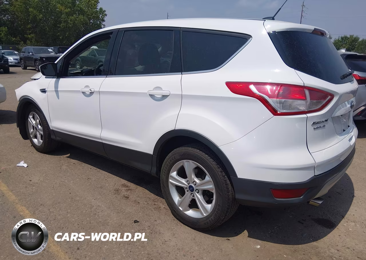 2014 Ford Escape Se VIN:1FMCU9GX5EUD87410 - 3