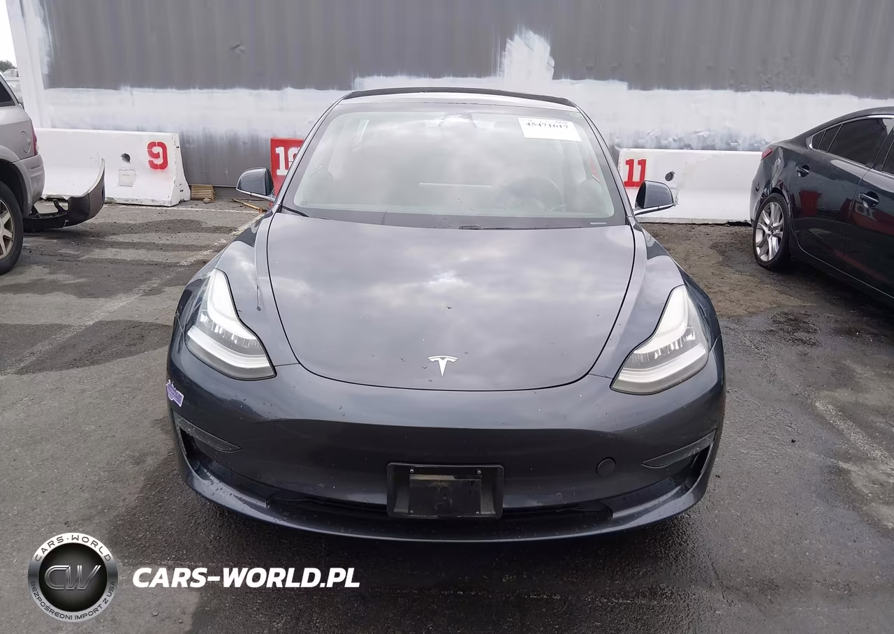 2019 Tesla Model 3 Long Range-Performance VIN:5YJ3E1EB0KF497828 - 12