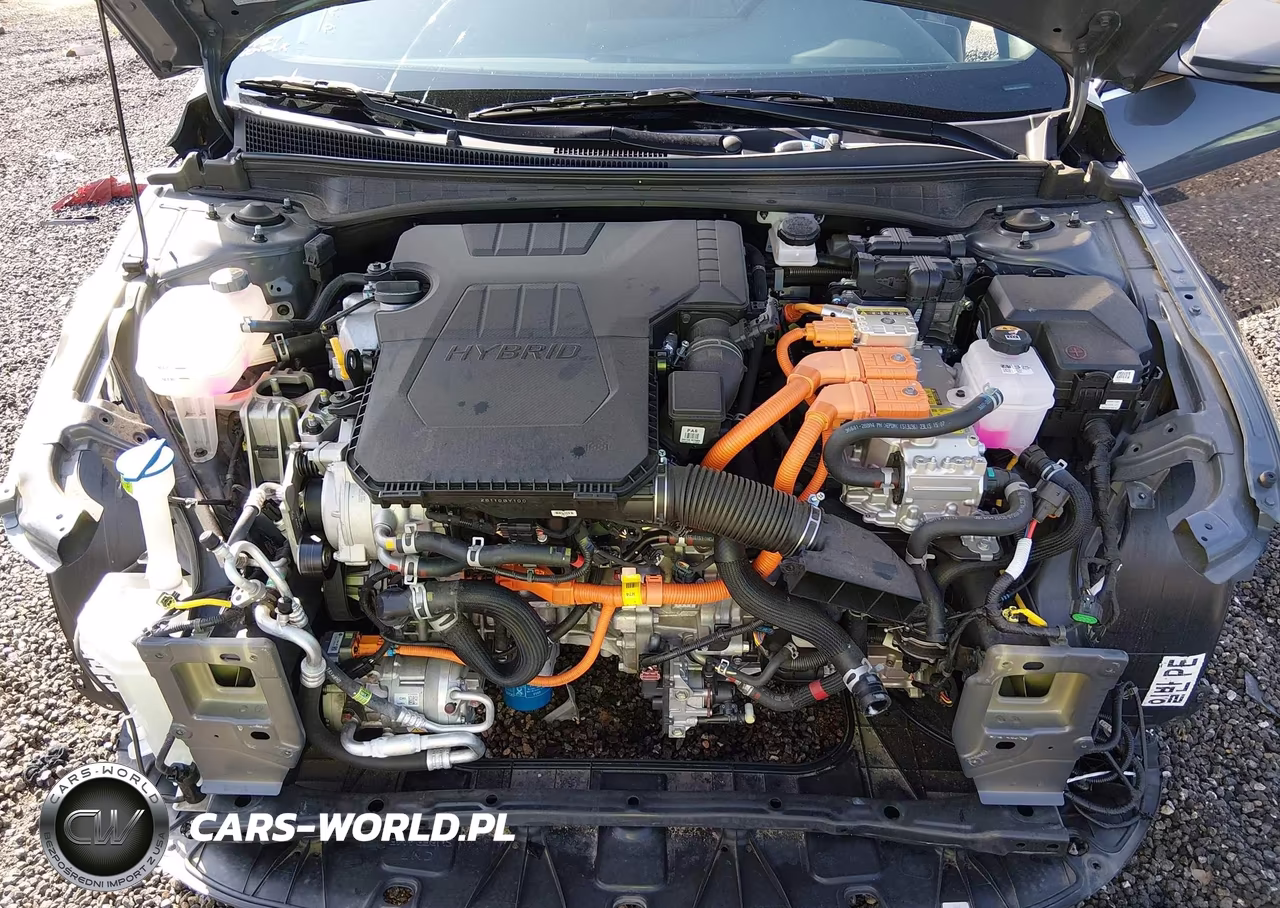 2024 Hyundai Elantra Hybrid Limited VIN:KMHLN4DJ3RU107232 - 10