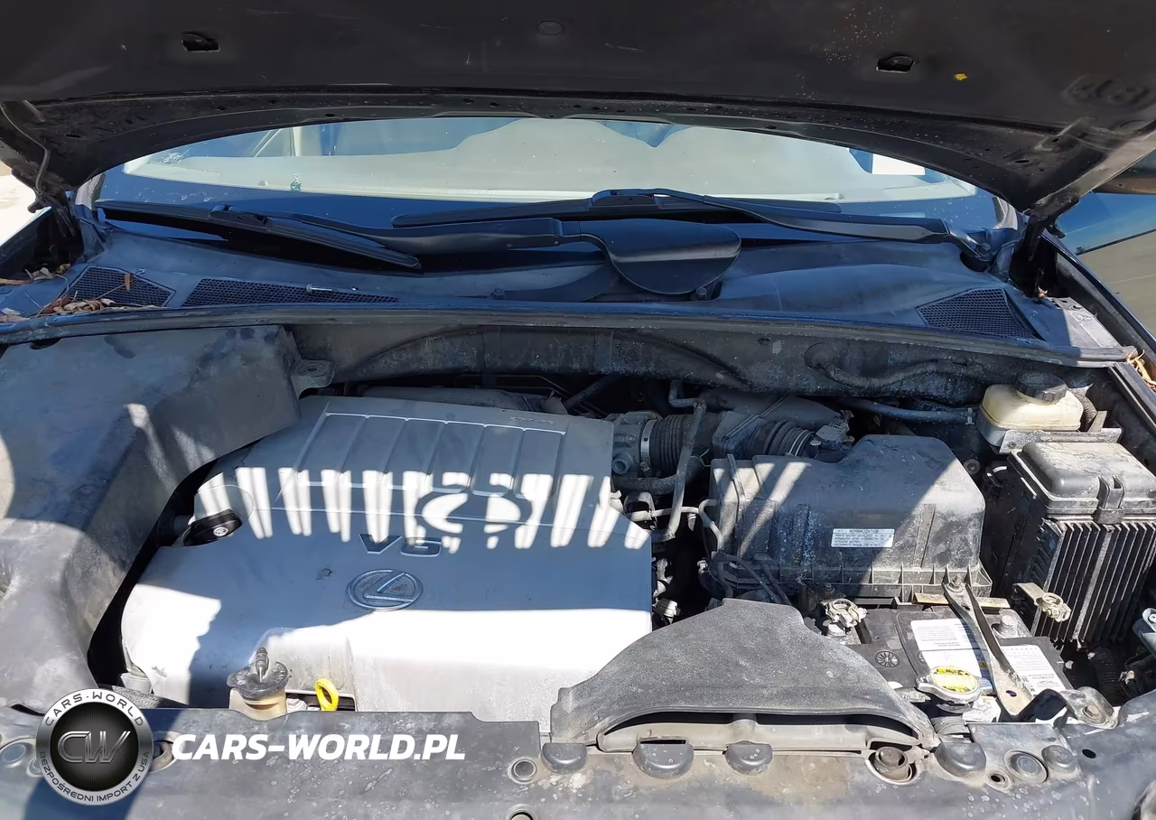 2007 Lexus Rx 350 VIN:JTJHK31U672004324 - 10