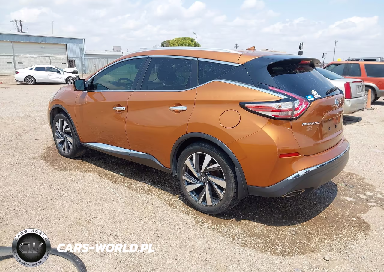 2016 Nissan Murano Platinum VIN:5N1AZ2MH1GN117410 - 3