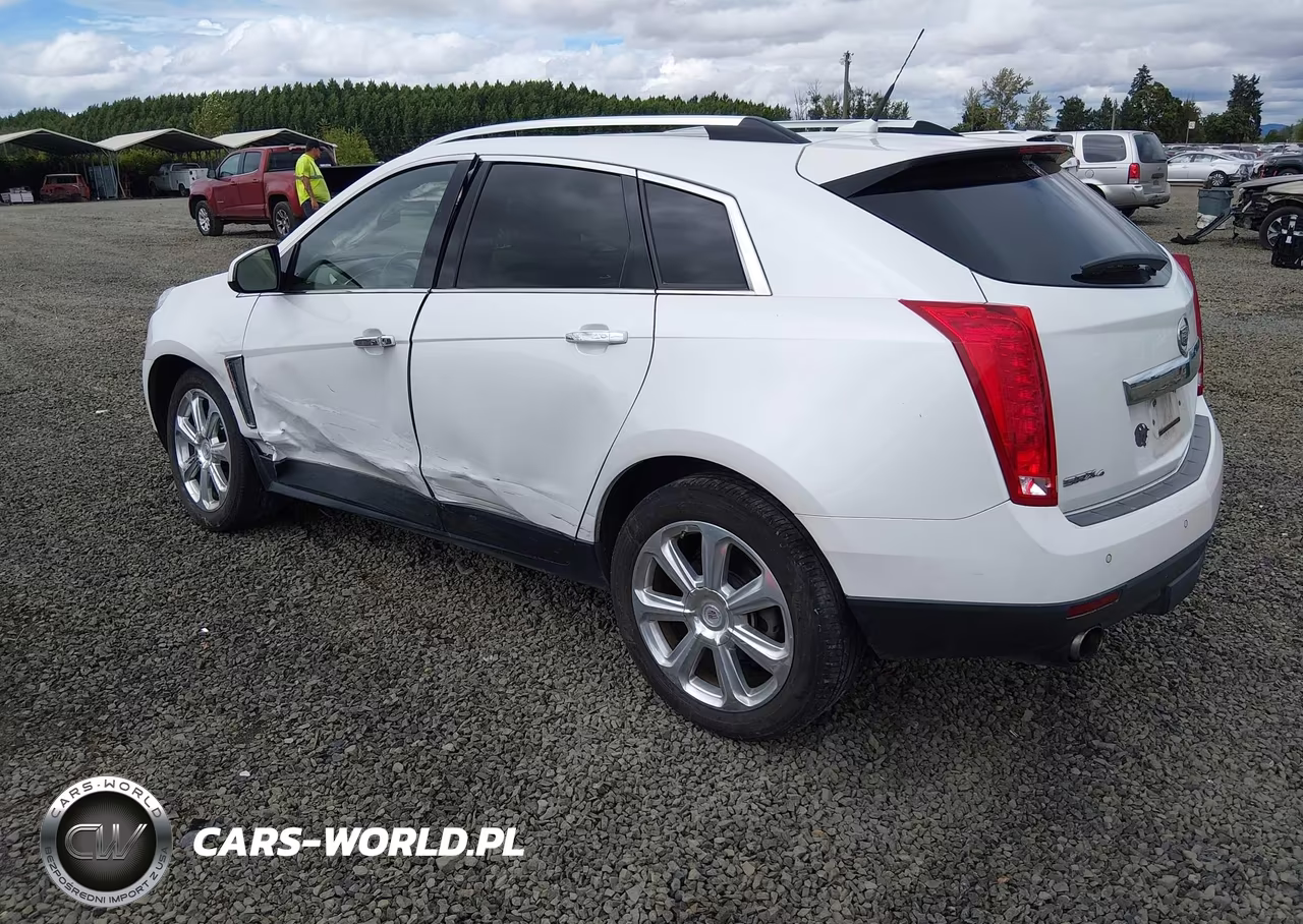 2013 Cadillac Srx Premium Collection VIN:3GYFNJE34DS539685 - 3