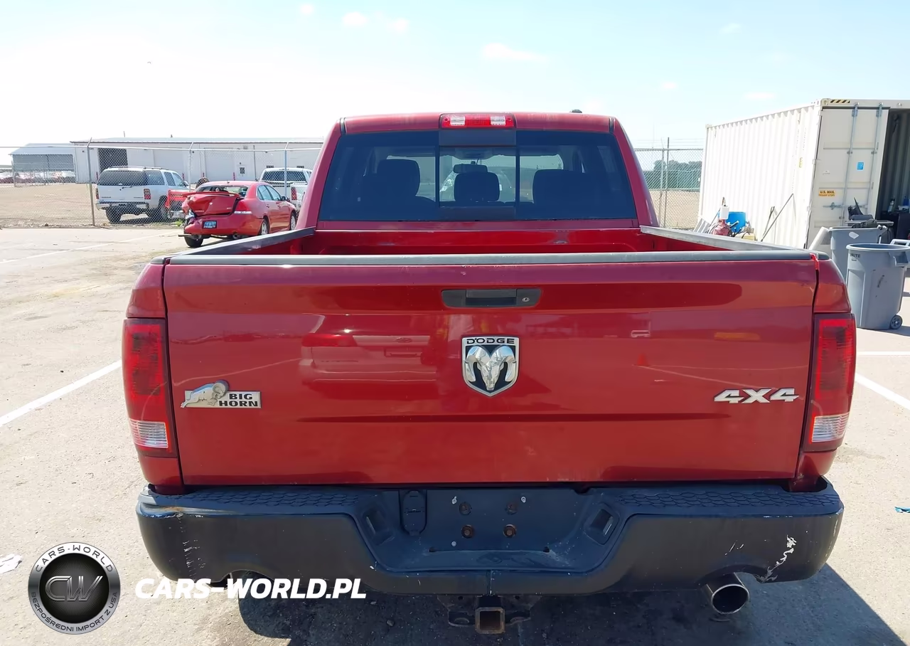 2010 Dodge Ram 1500 Slt-Sport-Trx VIN:1D7RV1CT1AS192156 - 16