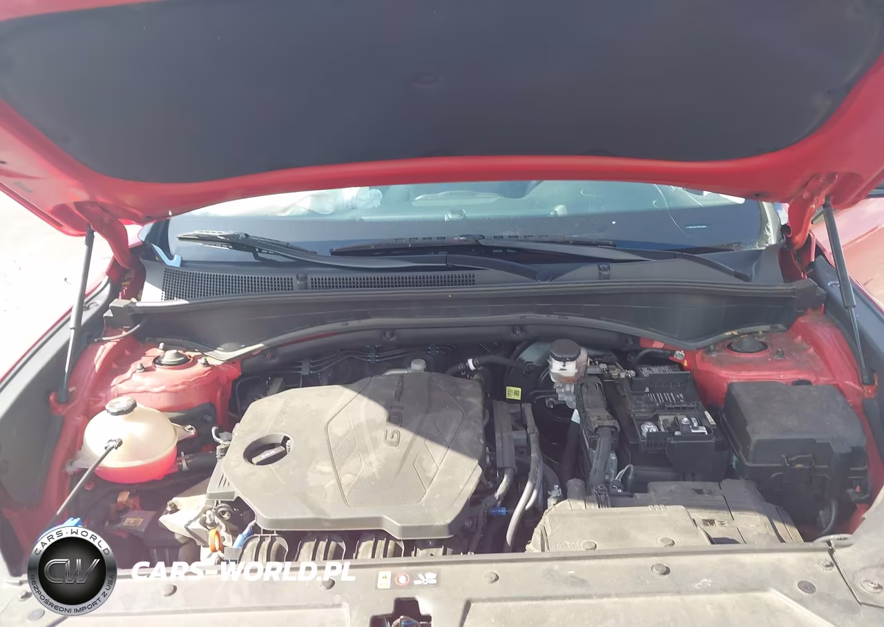 2023 Hyundai Santa Fe Xrt VIN:5NMS64AJ3PH578643 - 10
