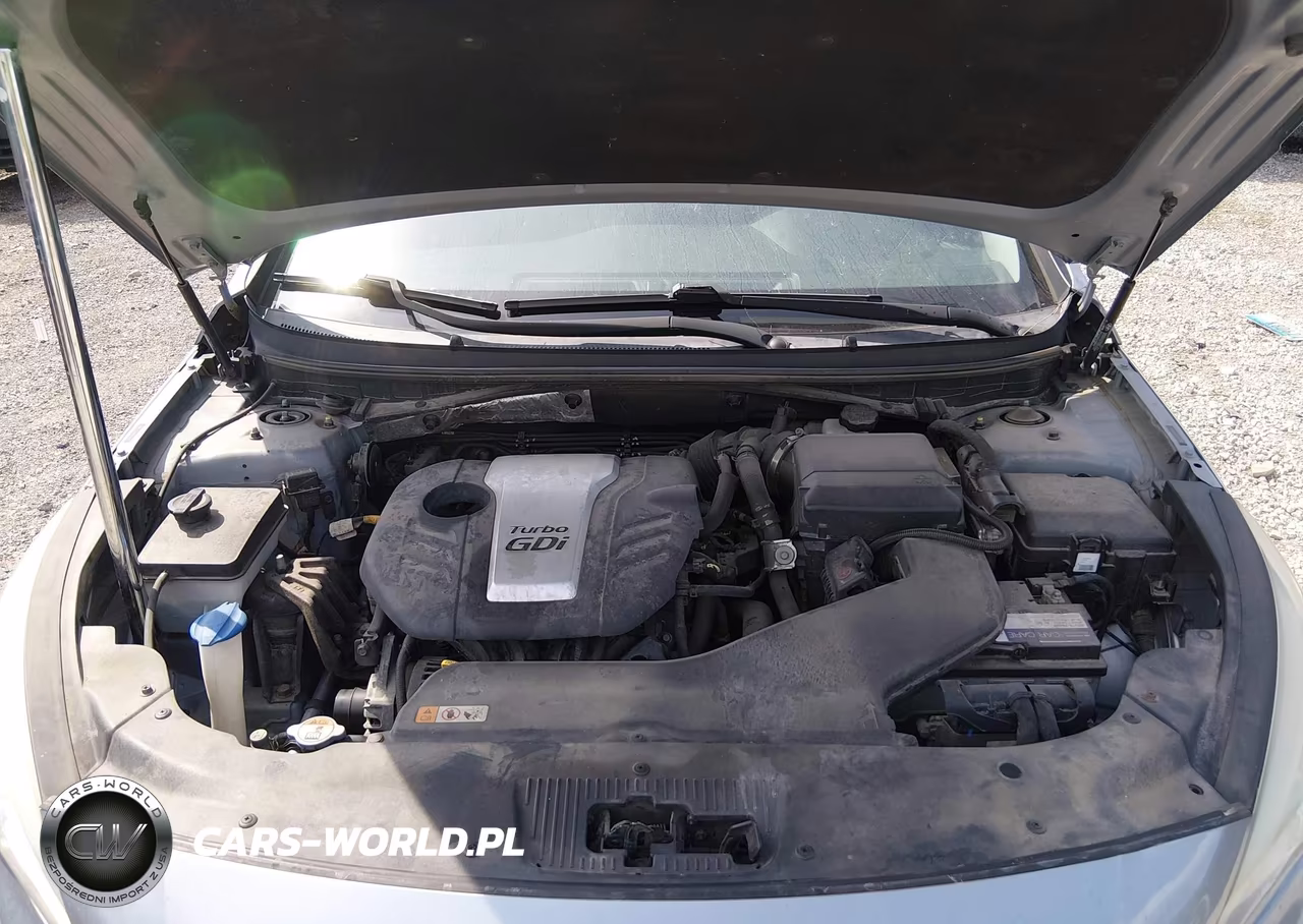 2015 Hyundai Sonata Eco VIN:5NPE24AAXFH172465 - 10