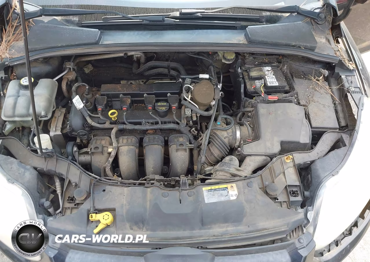 2013 Ford Focus Se VIN:1FADP3K25DL291148 - 10
