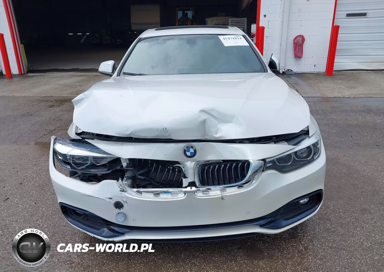 2019 BMW 430I Gran Coupe VIN:WBA4J1C52KBM17314 - 12