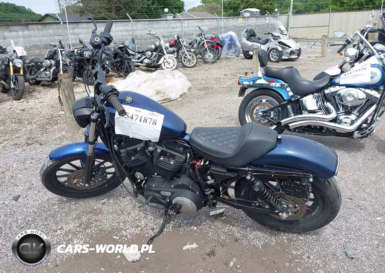 2012 Harley-Davidson Xl883 Iron 883 VIN:1HD4LE213CC427234 - 12