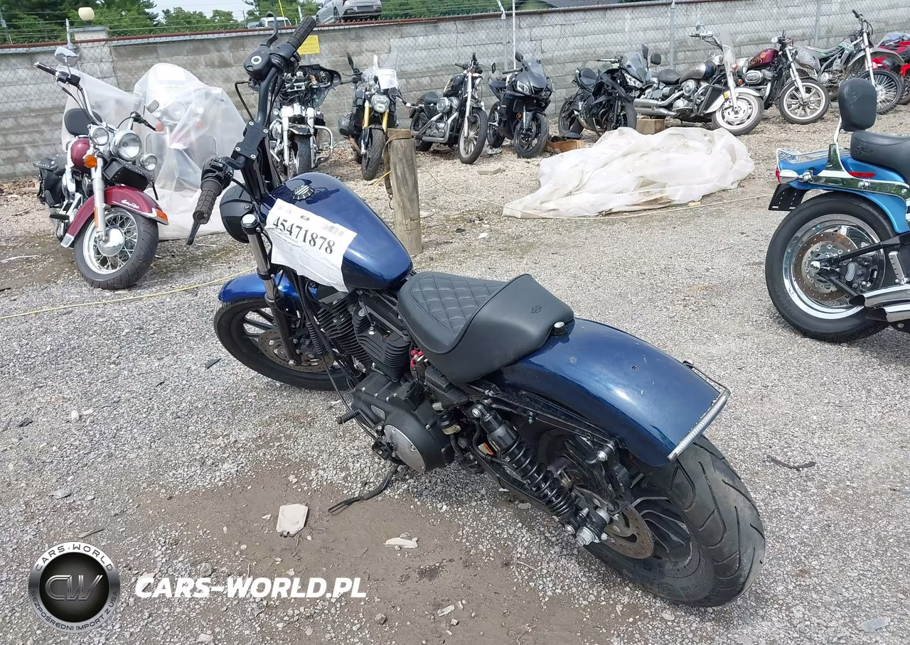 2012 Harley-Davidson Xl883 Iron 883 VIN:1HD4LE213CC427234 - 3