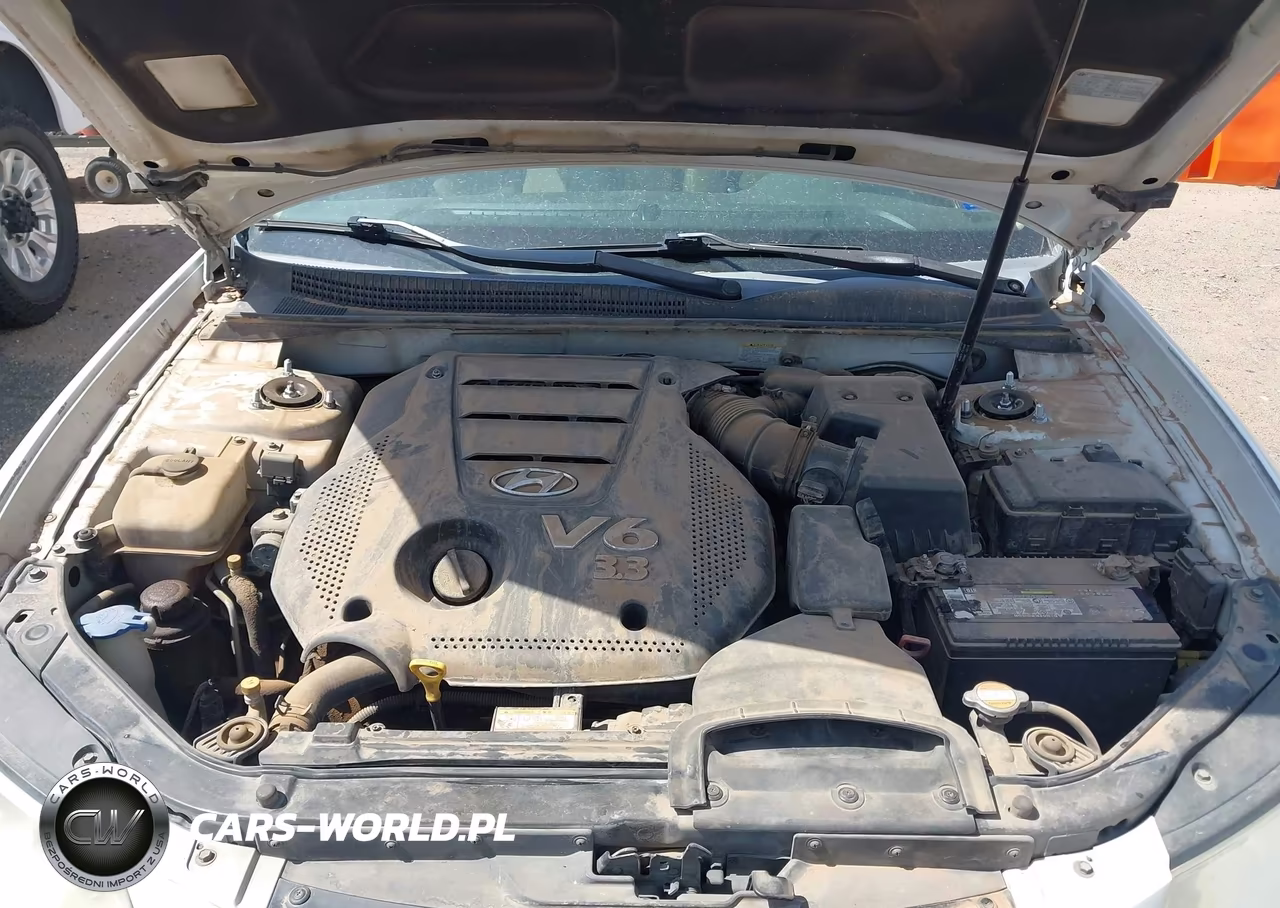 2009 Hyundai Sonata Limited V6 VIN:5NPEU46F99H427111 - 10