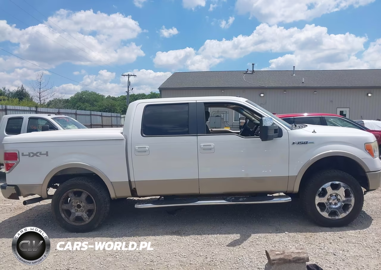 2009 Ford F-150 Fx4-King Ranch-Lariat-Platinum-Xl-Xlt VIN:1FTPW14V99FB30894 - 13