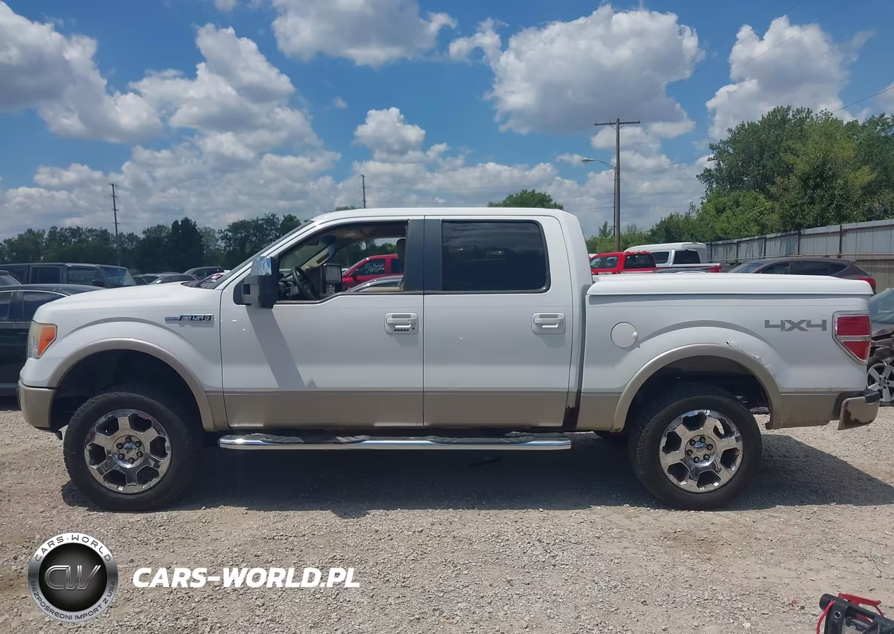2009 Ford F-150 Fx4-King Ranch-Lariat-Platinum-Xl-Xlt VIN:1FTPW14V99FB30894 - 14