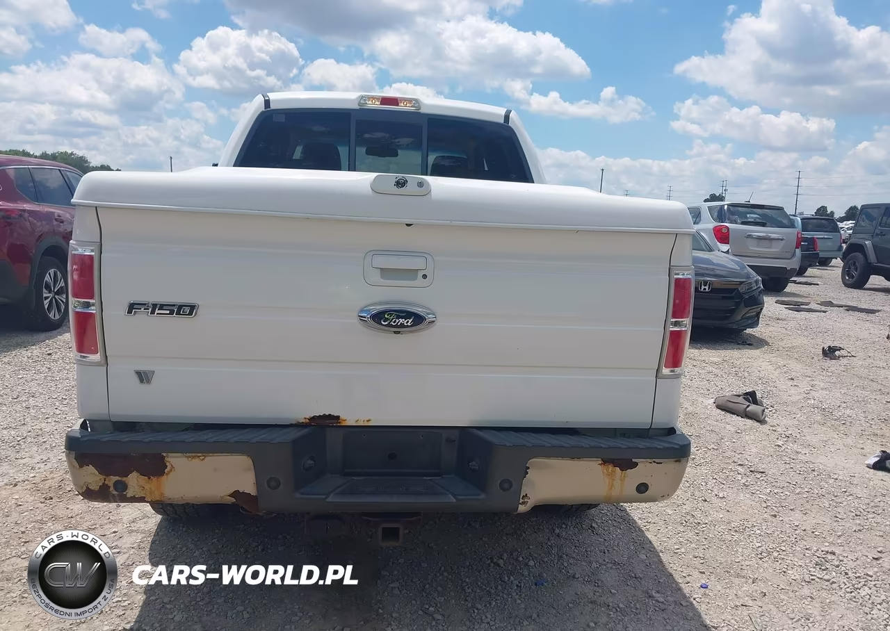 2009 Ford F-150 Fx4-King Ranch-Lariat-Platinum-Xl-Xlt VIN:1FTPW14V99FB30894 - 16