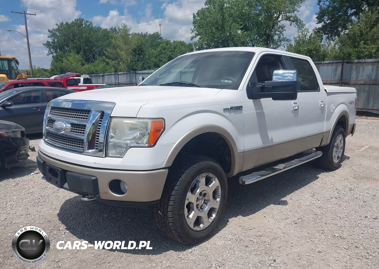 2009 Ford F-150 Fx4-King Ranch-Lariat-Platinum-Xl-Xlt VIN:1FTPW14V99FB30894 - 2