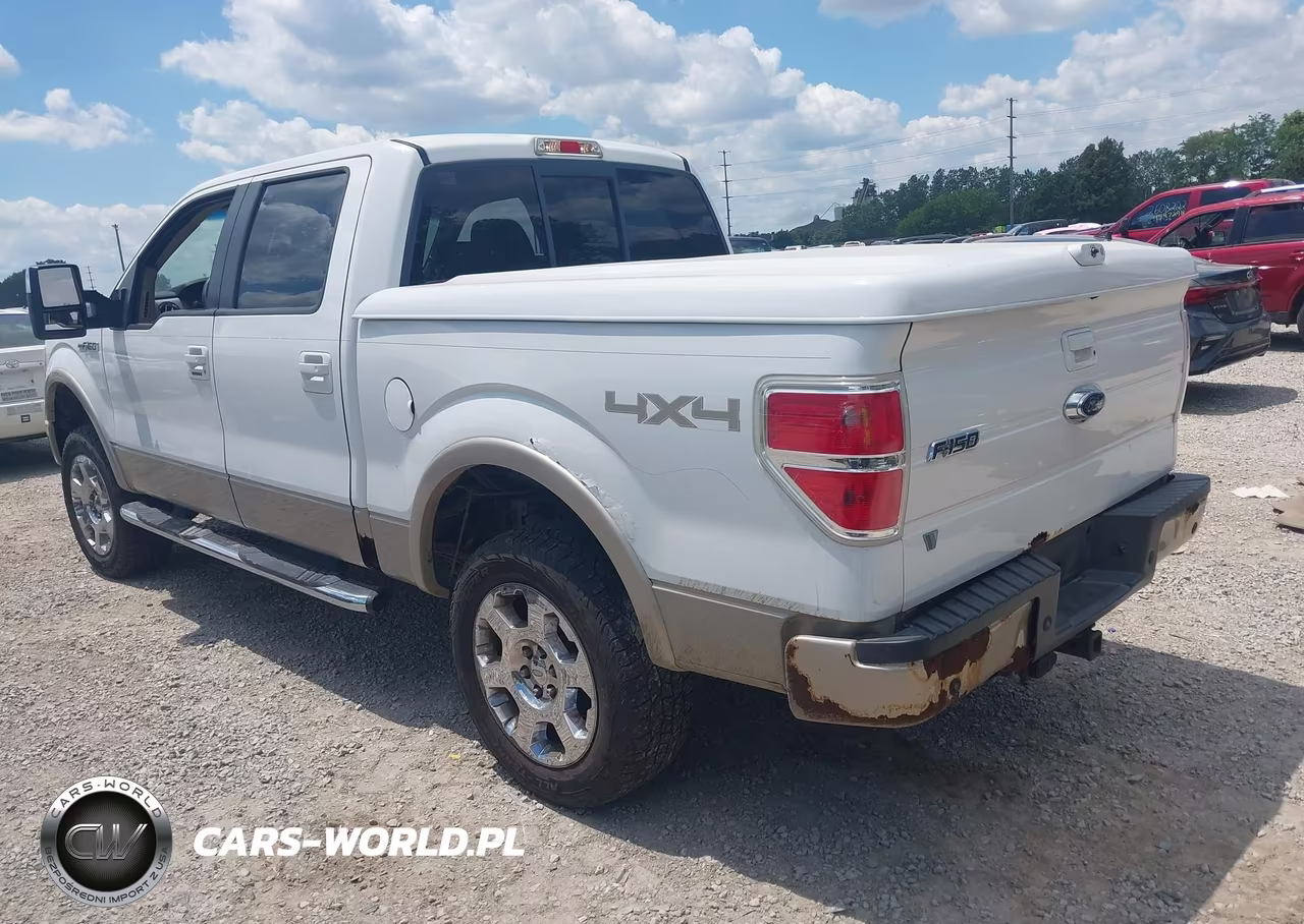 2009 Ford F-150 Fx4-King Ranch-Lariat-Platinum-Xl-Xlt VIN:1FTPW14V99FB30894 - 3