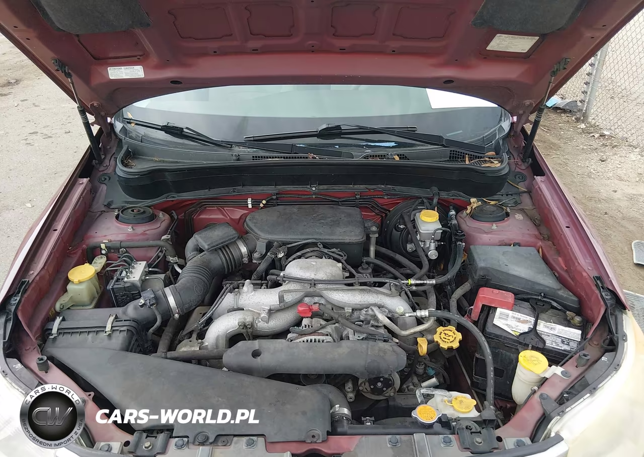 2010 Subaru Forester 2.5X Premium VIN:JF2SH6CC0AH914666 - 10