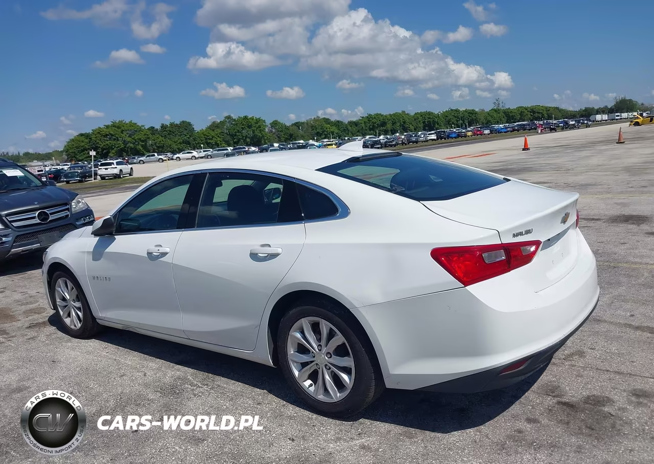 2023 Chevrolet Malibu Fwd 1Lt VIN:1G1ZD5ST5PF226924 - 18