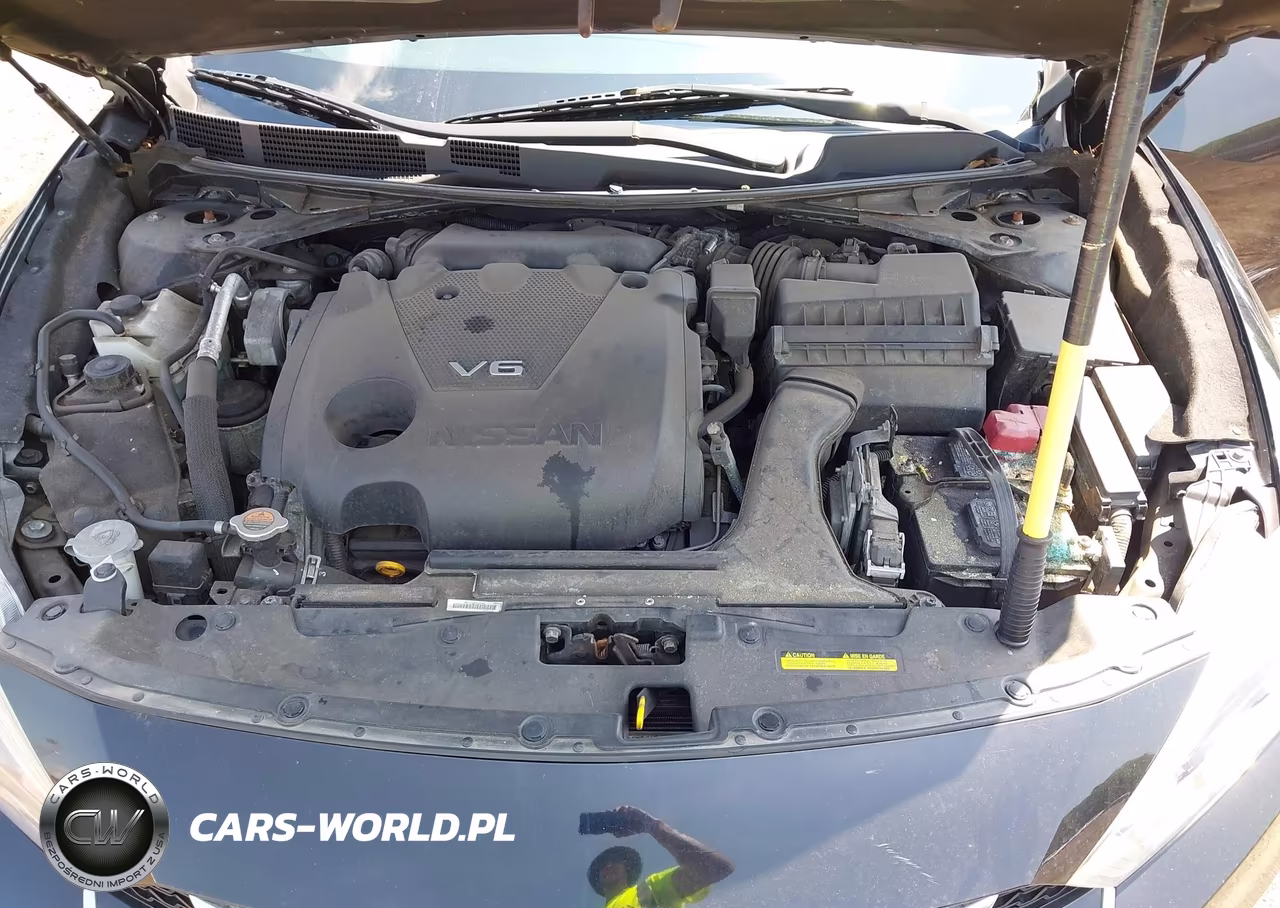2016 Nissan Maxima 3.5 Sv VIN:1N4AA6APXGC428592 - 10