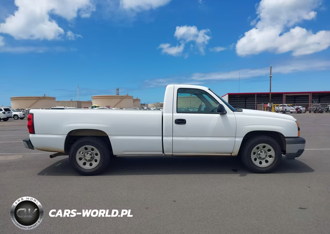 2006 Chevrolet Silverado 1500 Work Truck VIN:1GCEC14Z56E264659 - 17