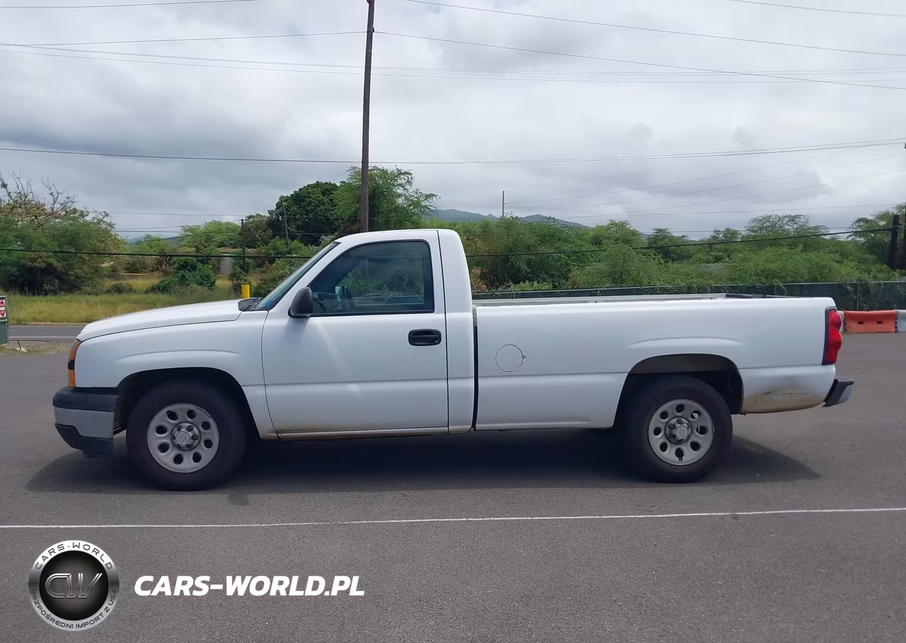 2006 Chevrolet Silverado 1500 Work Truck VIN:1GCEC14Z56E264659 - 18