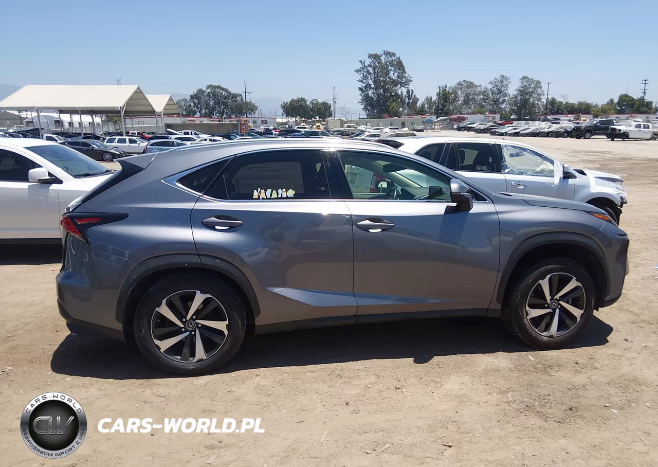 2021 Lexus Nx 300 VIN:JTJGARBZ1M2187686 - 13