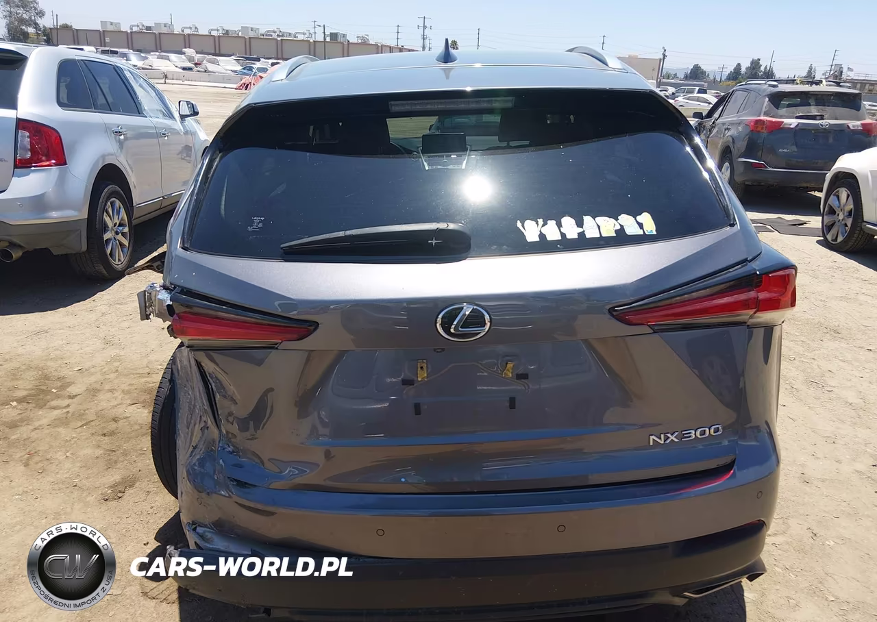 2021 Lexus Nx 300 VIN:JTJGARBZ1M2187686 - 16